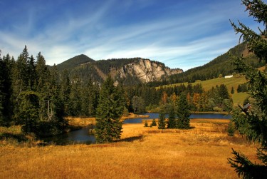 中山阜沙民间私贷攻略：揭秘低成本借贷的秘密