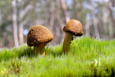 中山阜沙私人老板放款：轻松融资的秘密通道